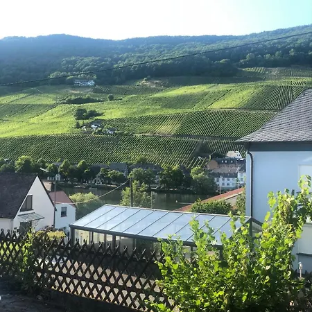 Ferienwohnung Mosel Appartamento